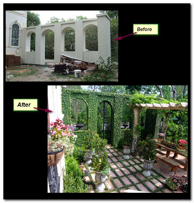 Landscaping Before and After